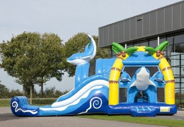 2 In 1 Dolphin Big Bouncy Castles Inflatable Dengan Wacky Dual Slide Untuk Amilement
