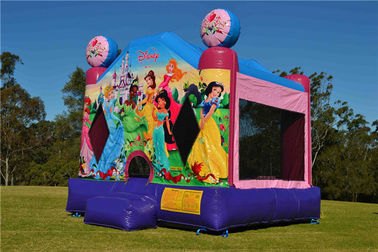 Fire-Resistant Inflatable Bouncer, Blow Up Disney Princess Jumping Castle
